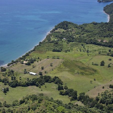 Hotel Punta De Aguila Necoclí Eksteriør billede